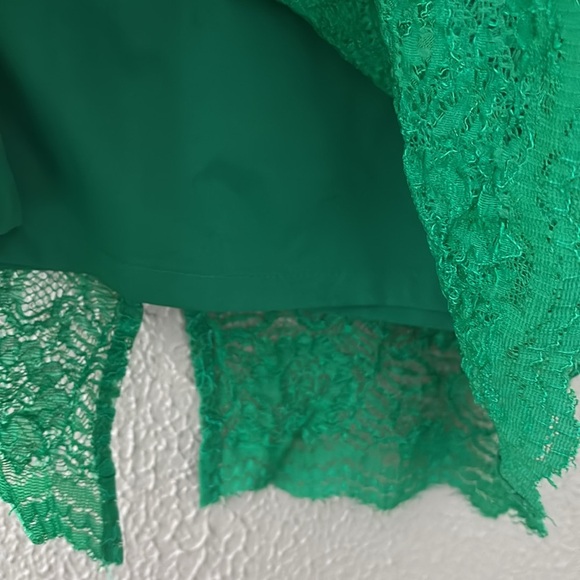 Anthropologie Mignon Doo Lace Veiled Pencil Skirt, Medium, Green - Picture 3 of 8